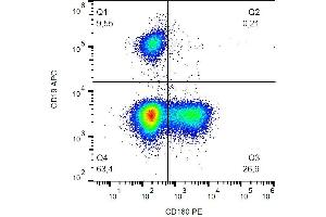 Surface staining of human peripheral blood cells with anti-CD160 (BY55) PE. (CD160 抗体  (PE))