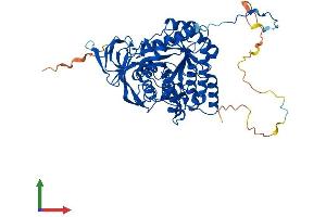 Protein Structure (PS) image for Dihydropyrimidinase-Like 4 (DPYSL4) (AA 1-572) protein (His tag) (ABIN7547258)