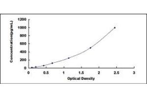 Typical standard curve (IFNB1 ELISA 试剂盒)