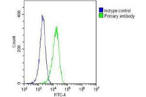 Overlay histogram showing Hela cells stained with (ABIN387816 and ABIN2843905)(green line). (EGFR 抗体)