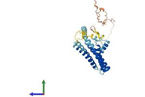 Protein Structure (PS) image for Yip1 Interacting Factor Homolog B (YIF1B) (AA 1-314) protein (His tag) (ABIN7545216)
