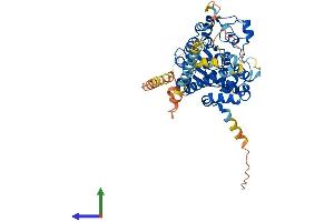 Protein Structure (PS) image for Carbohydrate (N-Acetylglucosamine 6-O) Sulfotransferase 7 (CHST7) (AA 1-484) protein (His tag) (ABIN7565019)
