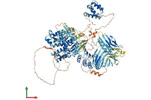 Protein Structure (PS) image for NLR Family, Pyrin Domain Containing 1B (NLRP1B) (AA 1-1196) protein (His tag) (ABIN7563617)