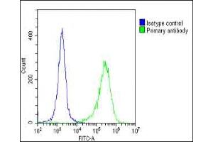 Overlay histogram showing HeLa cells stained with (ABIN392570 and ABIN2842109)(green line). (PIK3R1 抗体  (N-Term))