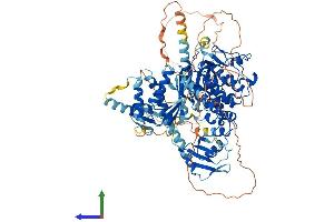 AlphaFold protein structure predicition of Mouse Recombinant Tut1 Protein, UniprotID Q8R3F9