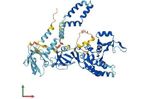 Protein Structure (PS) image for Membrane Protein, Palmitoylated 2 (MAGUK P55 Subfamily Member 2) (MPP2) (AA 1-552) protein (His tag) (ABIN7556300)