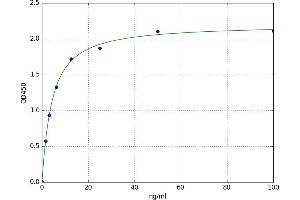 A typical standard curve (COL27A1 ELISA 试剂盒)