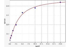 Typical standard curve (S100A16 ELISA 试剂盒)