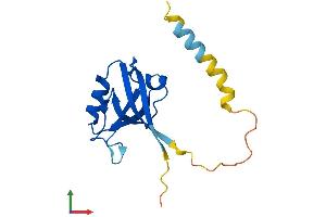 AlphaFold protein structure predicition of Mouse Recombinant Synj2bp Protein, UniprotID Q9D6K5