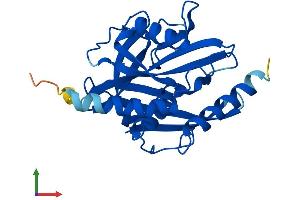 Protein Structure (PS) image for Nudix (Nucleoside Diphosphate Linked Moiety X)-Type Motif 7 (NUDT7) (AA 1-238) protein (His tag) (ABIN7549934)