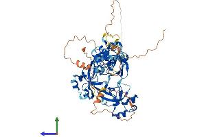 AlphaFold protein structure predicition of Human Recombinant L3MBTL4 Protein, UniprotID Q8NA19