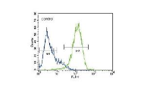 Flow Cytometry (FACS) image for anti-ATP-Binding Cassette, Sub-Family G (WHITE), Member 2 (ABCG2) (AA 305-335), (Center) antibody (ABIN388306)