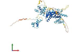 Protein Structure (PS) image for Tigger Transposable Element Derived 4 (TIGD4) (AA 1-513) protein (His tag) (ABIN7558912)