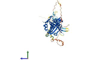 Protein Structure (PS) image for TEA Domain Family Member 1 (SV40 Transcriptional Enhancer Factor) (TEAD1) (AA 1-426) protein (His tag) (ABIN7555772)