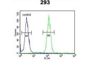Flow cytometric analysis of 293 cells using NCOA7 Antibody (N-term) Cat. (NCOA7 抗体  (N-Term))