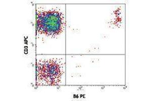 Flow Cytometry (FACS) image for anti-TCR, V delta 2 antibody (PE) (ABIN2663923) (TCR, V delta 2 抗体 (PE))