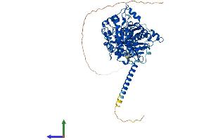AlphaFold protein structure predicition of Mouse Recombinant Mtmr2 Protein, UniprotID Q9Z2D1 (MTMR2 Protein (AA 1-643) (His tag))