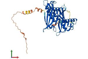 AlphaFold protein structure predicition of Mouse Recombinant Acot7 Protein, UniprotID Q91V12