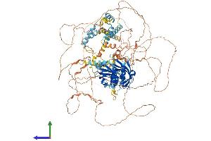 Protein Structure (PS) image for Period Homolog 3 (PER3) (AA 1-1201) protein (His tag) (ABIN7554935)