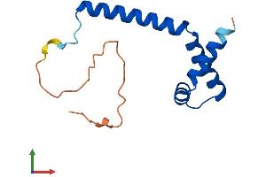 AlphaFold protein structure predicition of Mouse Recombinant Riiad1 Protein, UniprotID Q3KNY5