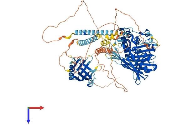 OSBPL7 Protein (AA 1-842) (His tag)