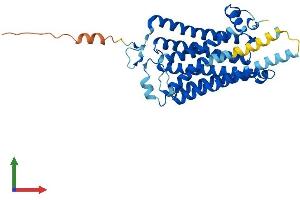 AlphaFold protein structure predicition of Mouse Recombinant Taar7d Protein, UniprotID Q5QD10 (Taar7d Protein (AA 1-358) (His tag))