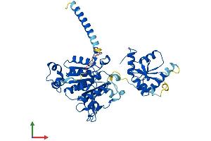 Protein Structure (PS) image for Molybdenum Cofactor Synthesis 3 (MOCS3) (AA 1-460) protein (His tag) (ABIN7561970)