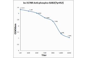 Antigen: 0. (GAB2 抗体  (pTyr452))