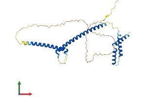 AlphaFold protein structure predicition of Human Recombinant MLX Protein, UniprotID Q9UH92