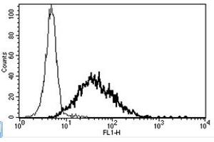 Flow Cytometry (FACS) image for anti-Interleukin 2 Receptor, alpha (IL2RA) antibody (ABIN1106136) (CD25 抗体)