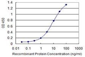 Detection limit for recombinant GST tagged DDX56 is 0. (DDX56 抗体  (AA 450-547))