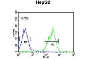 Flow cytometric analysis of HepG2 cells using MAP4K3 Antibody  (right histogram) compared to a negative control cell (left histogram). (MAP4K3 抗体)