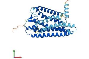 Protein Structure (PS) image for Olfactory Receptor, Family 8, Subfamily D, Member 2 (OR8D2) (AA 1-311) protein (His tag) (ABIN7550468)
