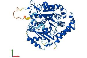 Protein Structure (PS) image for Tubulin, alpha-Like 3 (TUBAL3) (AA 1-446) protein (His tag) (ABIN7557303)