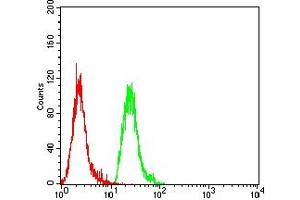 Flow cytometric analysis of Hela cells using PINK1 mouse mAb (green) and negative control (red). (PINK1 抗体  (AA 112-273))