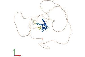 Protein Structure (PS) image for Cornulin (CRNN) (AA 1-495) protein (His tag) (ABIN7546857)