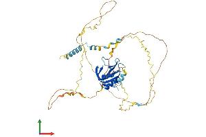 AlphaFold protein structure predicition of Mouse Recombinant Blnk Protein, UniprotID Q9QUN3