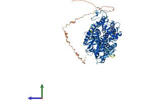 Protein Structure (PS) image for Protein-O-Mannosyltransferase 2 (POMT2) (AA 1-820) protein (His tag) (ABIN7558573)