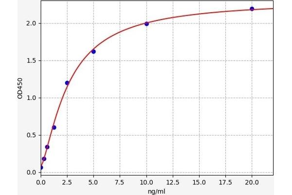 BRCA1 ELISA 试剂盒