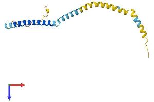 TPD52L3 Protein (AA 1-140) (His tag)