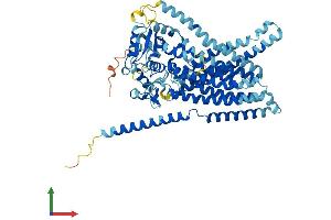 Protein Structure (PS) image for Anoctamin 10 (ANO10) (AA 1-660) protein (His tag) (ABIN7552155)