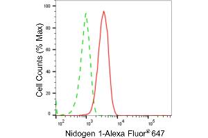 Flow cytometric analysis of Nidogen 1 expression in C2C12 cells using Nidogen 1 antibody (ABIN7799597), 1:2,000). (Recombinant Nidogen 1 抗体)