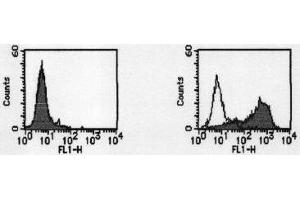 Flow Cytometry (FACS) image for anti-CD274 (PD-L1) antibody (ABIN1449173) (PD-L1 抗体)