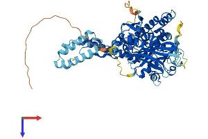 AlphaFold protein structure predicition of Human Recombinant DENND6B Protein, UniprotID Q8NEG7