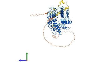 Protein Structure (PS) image for Zinc Finger Protein 436 (ZNF436) (AA 1-470) protein (His tag) (ABIN7545324)