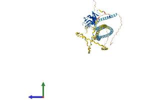Protein Structure (PS) image for Collectin Sub-Family Member 12 (COLEC12) (AA 1-742) protein (His tag) (ABIN7553520)