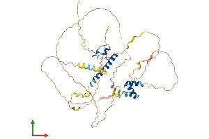 AlphaFold protein structure predicition of Human Recombinant DMRT3 Protein, UniprotID Q9NQL9