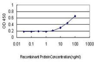 Detection limit for recombinant GST tagged RPL13 is approximately 3ng/ml as a capture antibody. (RPL13 抗体  (AA 112-211))