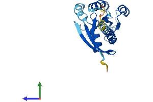 Protein Structure (PS) image for RAB7B, Member RAS Oncogene Family (RAB7B) (AA 1-199) protein (His tag) (ABIN7551175)