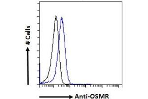 ABIN5539567 Flow cytometric analysis of paraformaldehyde fixed HeLa cells (blue line), permeabilized with 0. (Oncostatin M Receptor 抗体  (Internal Region))